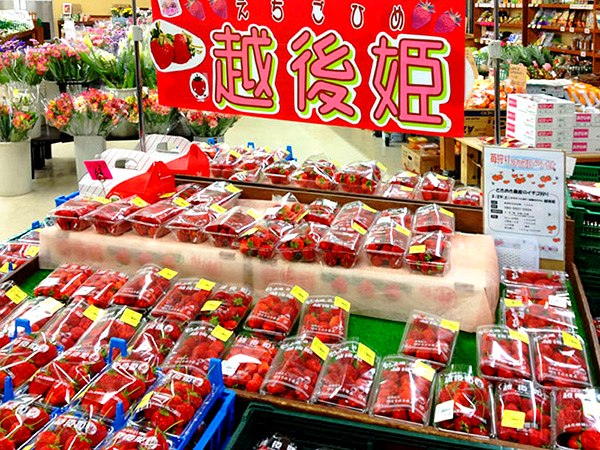 店内に並ぶ農産物