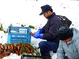 中川新一郎さん