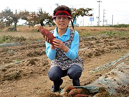 小柳容子さん