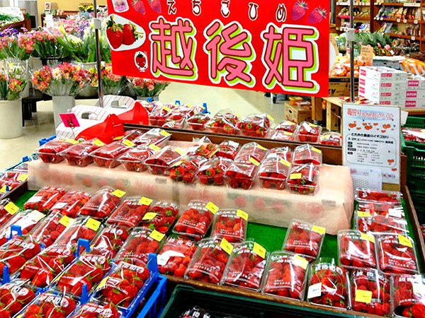 越後姫が並ぶ売り場