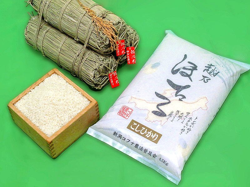 新潟県産こしひかり （白米）