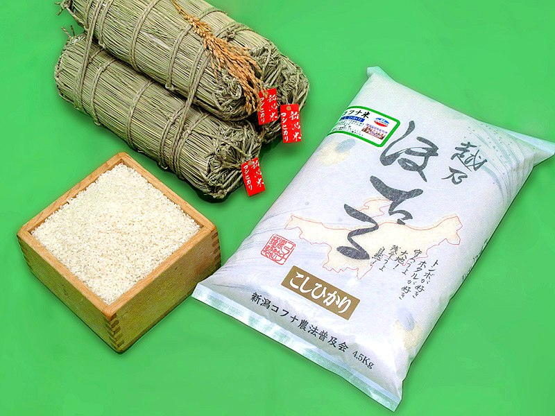 新潟県産コフナ米こしひかり （白米）