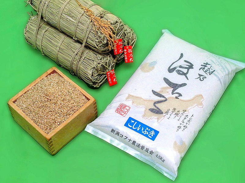 新潟県産こしいぶき （玄米）