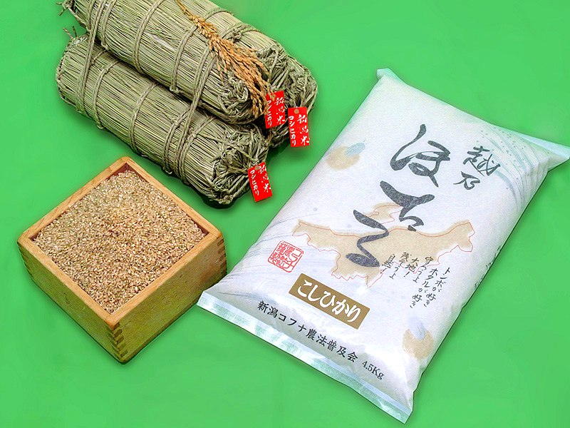 新潟県産こしひかり （玄米）