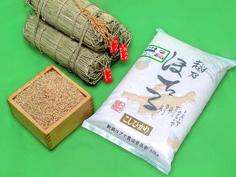 新潟県産コフナ米こしひかり （玄米）
