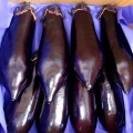 やまなす品 750-ANA016.jpg?1